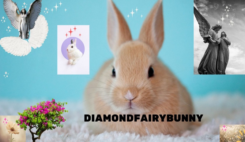 DiamondFairyBunny
